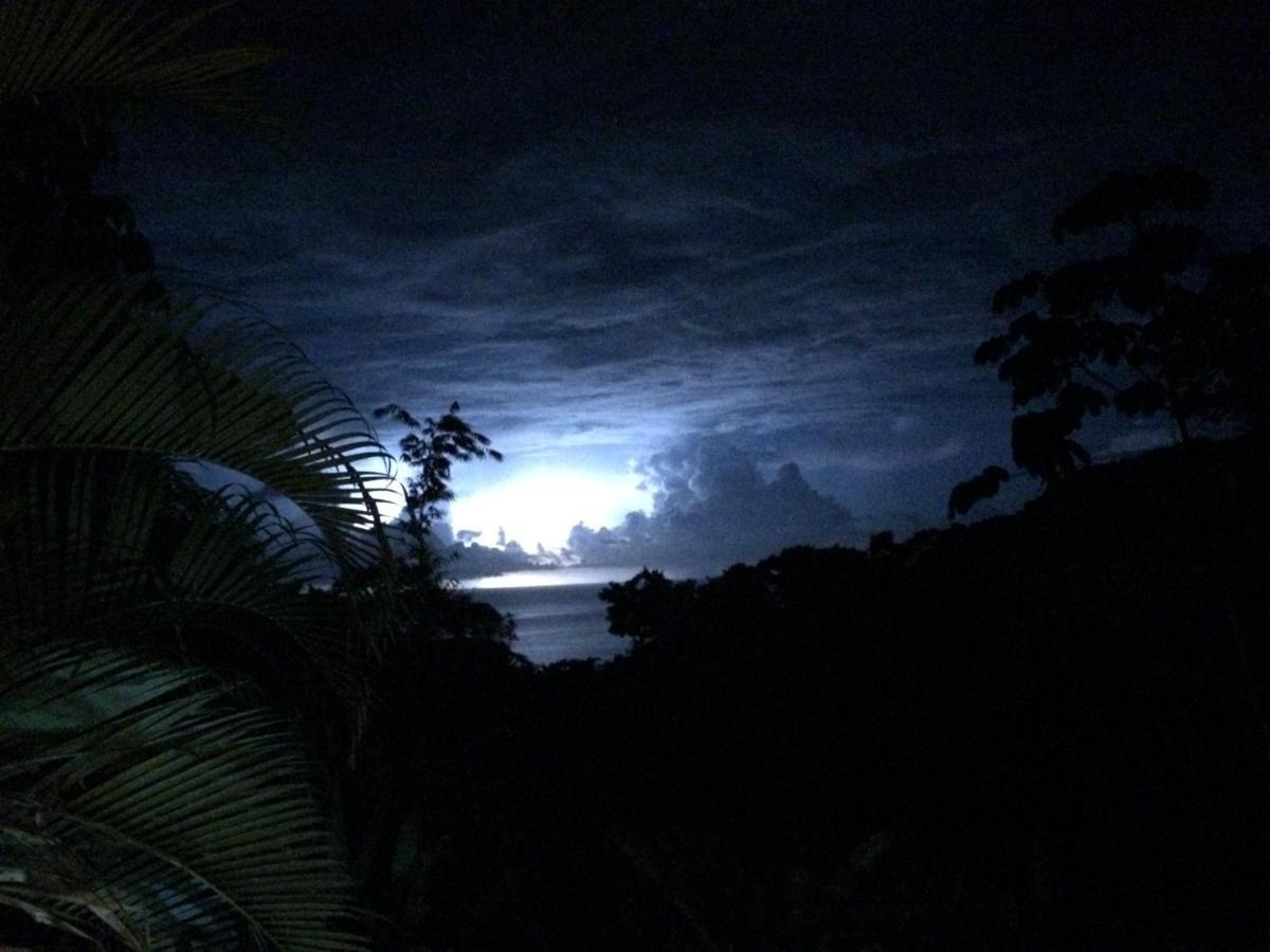 Manuel Antonio Park House - Adults Only Ξενοδοχείο Εξωτερικό φωτογραφία
