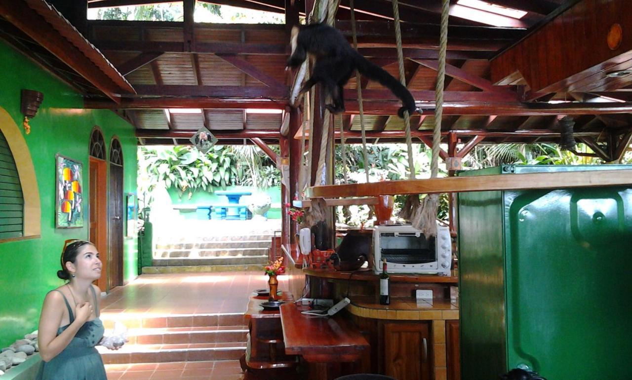 Manuel Antonio Park House - Adults Only Ξενοδοχείο Εξωτερικό φωτογραφία