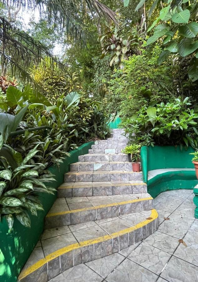 Manuel Antonio Park House - Adults Only Ξενοδοχείο Εξωτερικό φωτογραφία