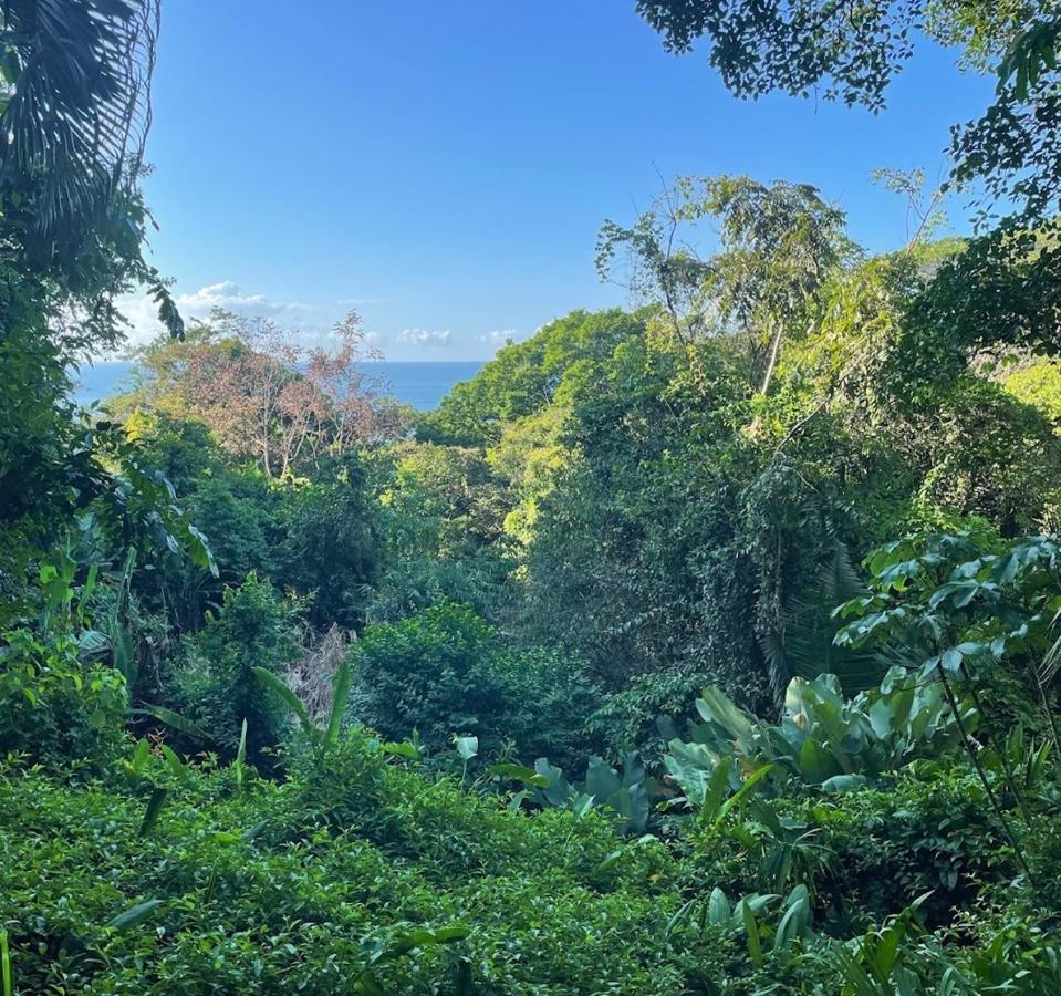 Manuel Antonio Park House - Adults Only Ξενοδοχείο Εξωτερικό φωτογραφία