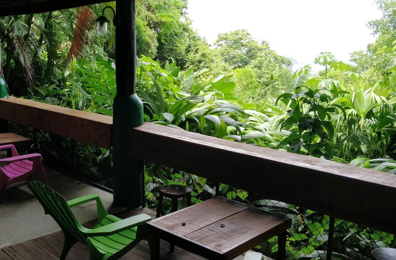 Manuel Antonio Park House - Adults Only Ξενοδοχείο Εξωτερικό φωτογραφία