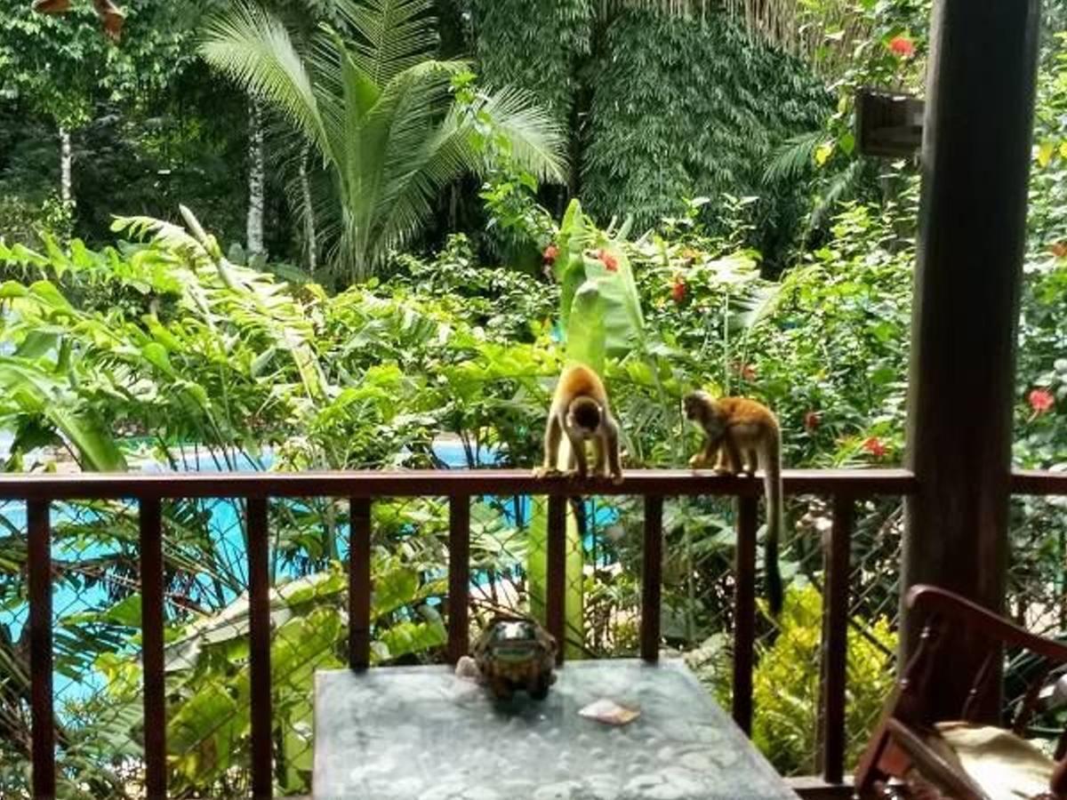 Manuel Antonio Park House - Adults Only Ξενοδοχείο Εξωτερικό φωτογραφία