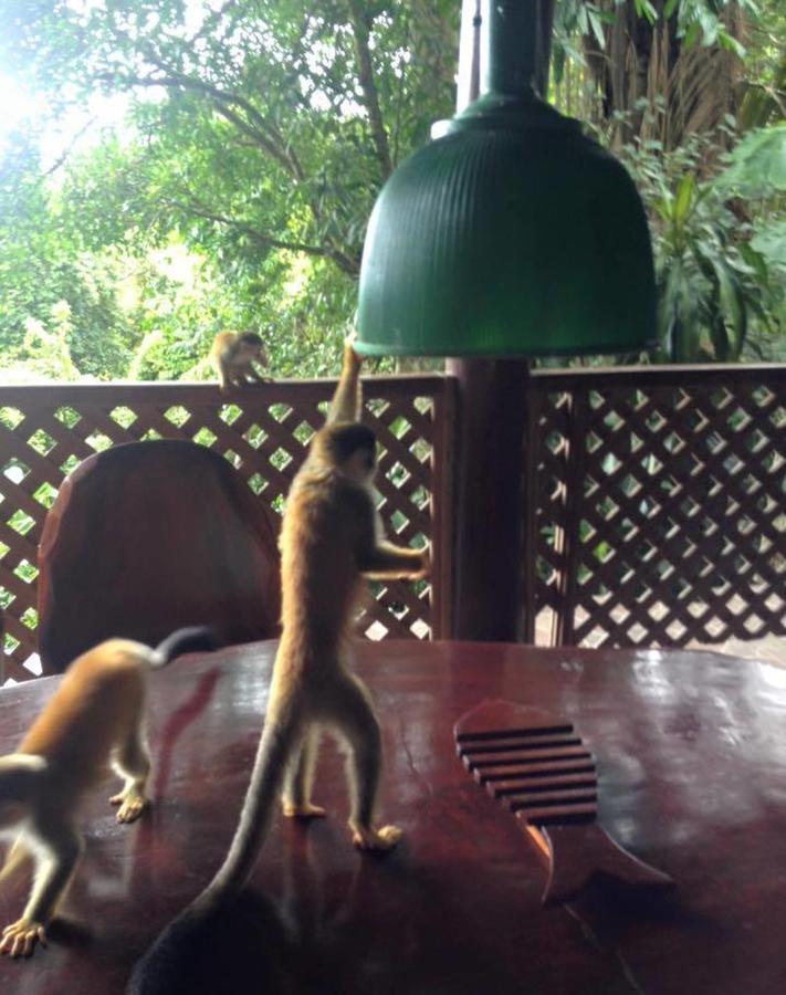 Manuel Antonio Park House - Adults Only Ξενοδοχείο Εξωτερικό φωτογραφία