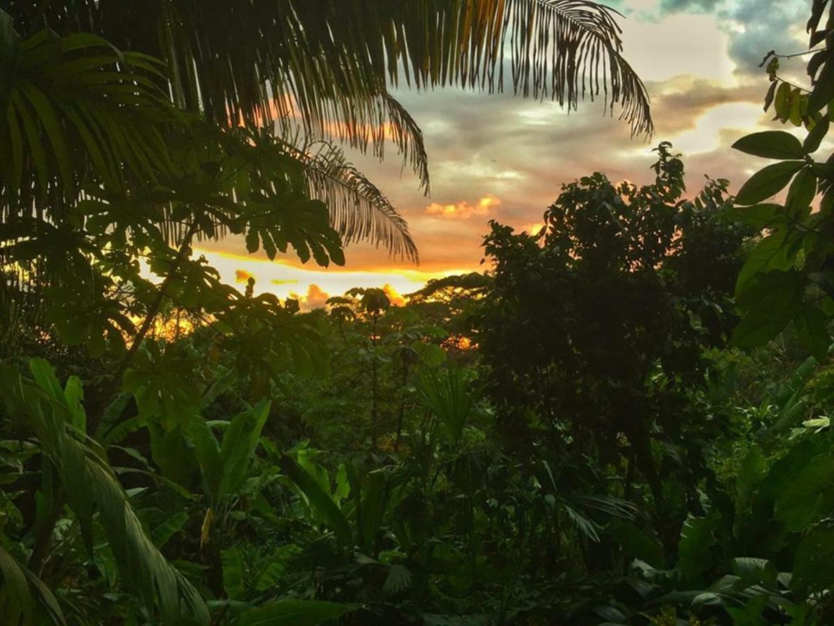 Manuel Antonio Park House - Adults Only Ξενοδοχείο Εξωτερικό φωτογραφία